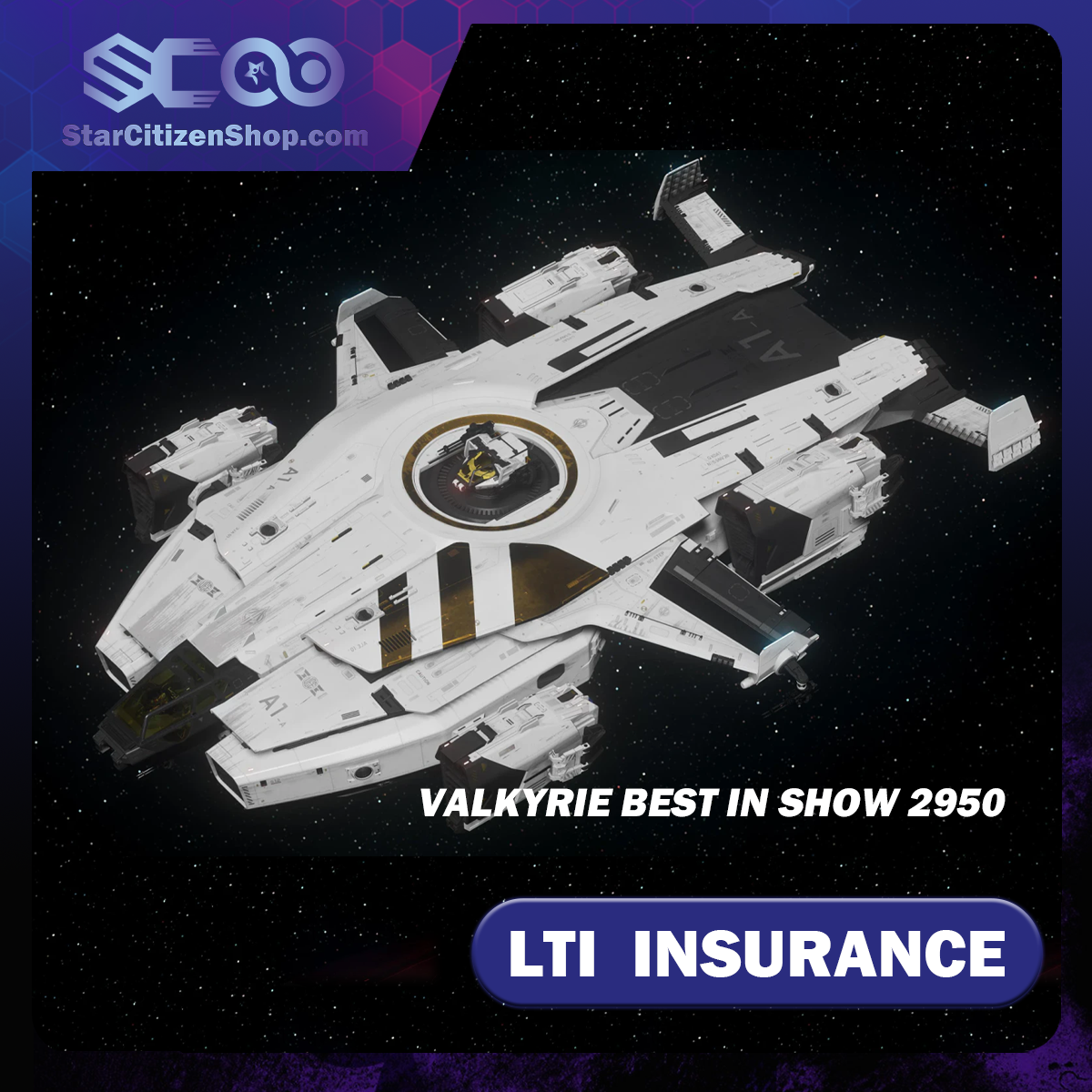 Anvil Valkyrie Best in Show 2950 standalone ship in Star Citizen