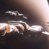 Freelancer MIS - Standalone Ship
