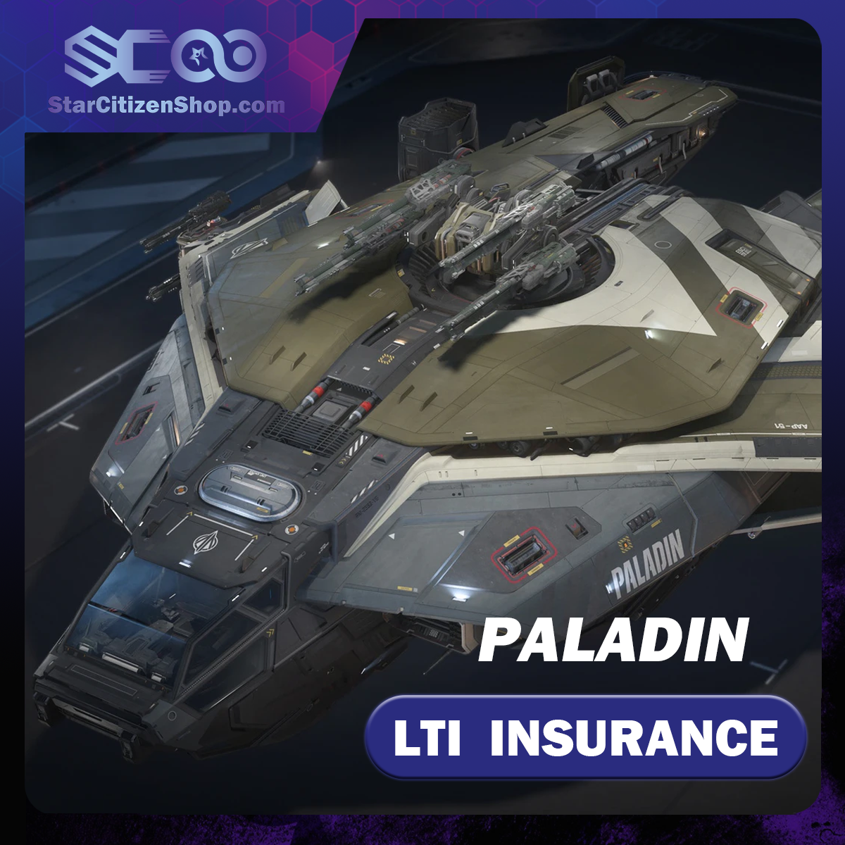 Anvil Paladin standalone ship in Star Citizen